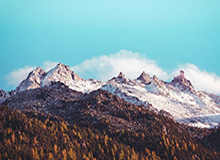 星空体育app官方网站——开启全新体育体验