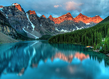 LPL赛事整活：打野的日常Belike